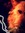 Brie
