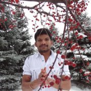 Chandran Ramamoorthy