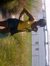Kalushi...