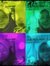 Nur Alya'a