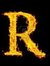 Rohit S...