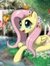 Fluttershy Pony