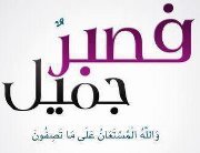 Engy Gaffar