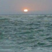 Abdo Abo jazar