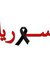 وسيم ال...