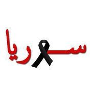 وسيم الشوفي