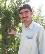 Hidayat Bukhary