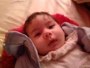 Hassan Mostafa