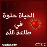 Samar Mostafa