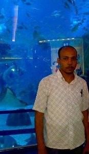 Khairy Elmasry