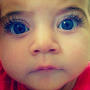 Hala Al-dmour