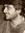 Syed Zaidi
