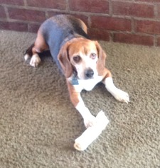 Ellenreddensmithyahoo.com