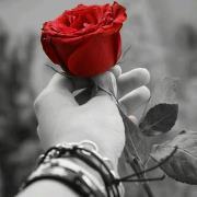 المجنونه المجنونه