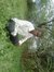 Abdirah...