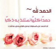 Heba Mohamed