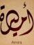 أميرة حسن