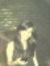 Sonam C...