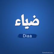 Deyaaeldeen Mohammed