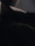 Alisha ...