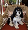 Sandra