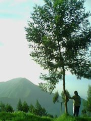 Durroh Septari putri