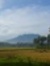 Sago Indra