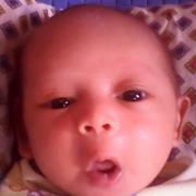 Sigit Ada yang punya