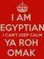 Samar Aly
