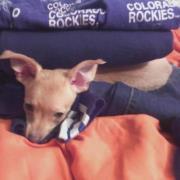 Lisa Wilson patterson