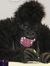 Simian Editor