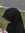 Sya Qila