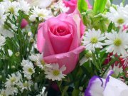 عبدالله البيات