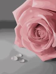 Eman Hany