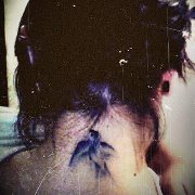 Perfecta Desconocida