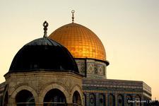 آلاء أبو عزب