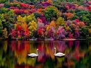 Noor Haider
