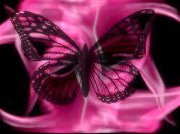 Emily Riba