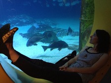 Lauren.kovachgmail.com