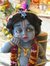 Rajat T...