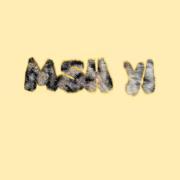 Msh Yi