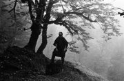 Daniel Snyders