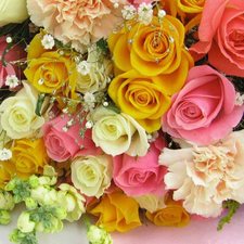 سﯜار الأماني