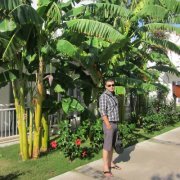 Петър Янков