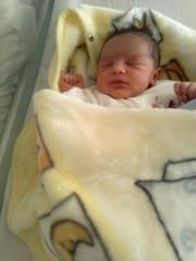 Mostafa Shekena