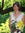 Lesley (lcbeck) | 1 comments