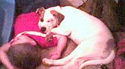 Ryan Massaro