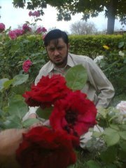 Abdullah Abbas