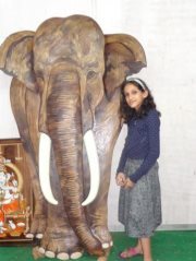 Shreya Praseedkumar