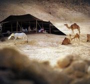 خالد العقيدي